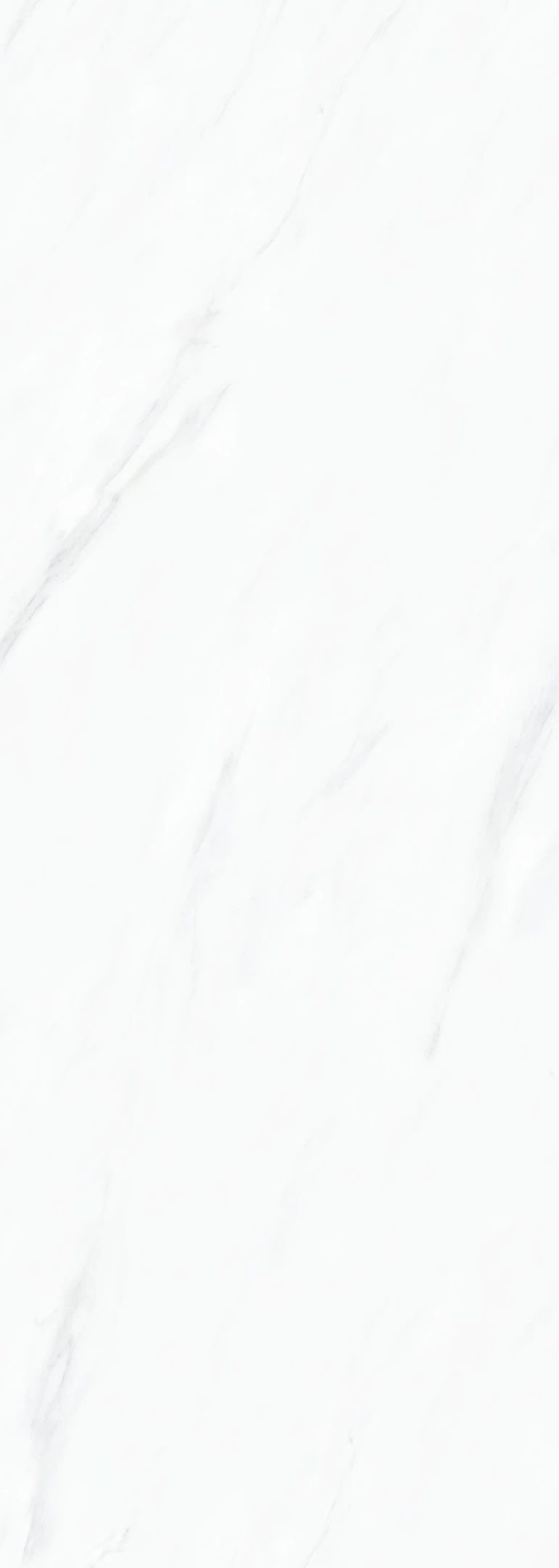 1695005628672141.jpg