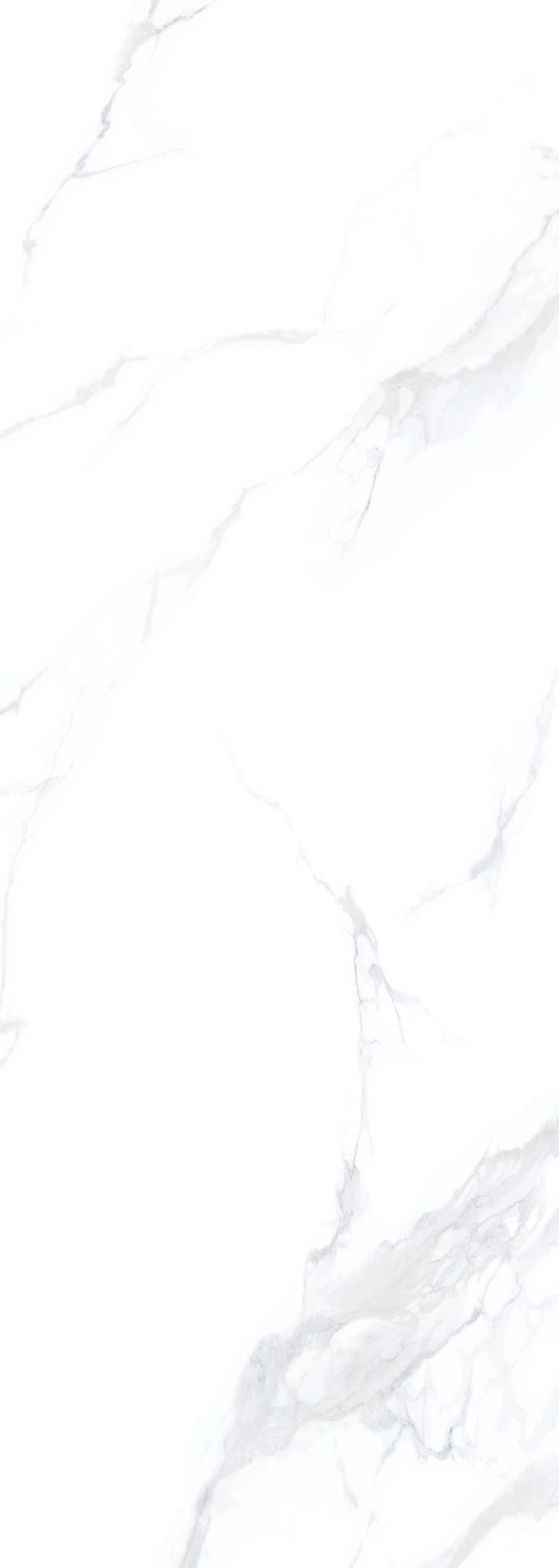 1695005974659337.jpg