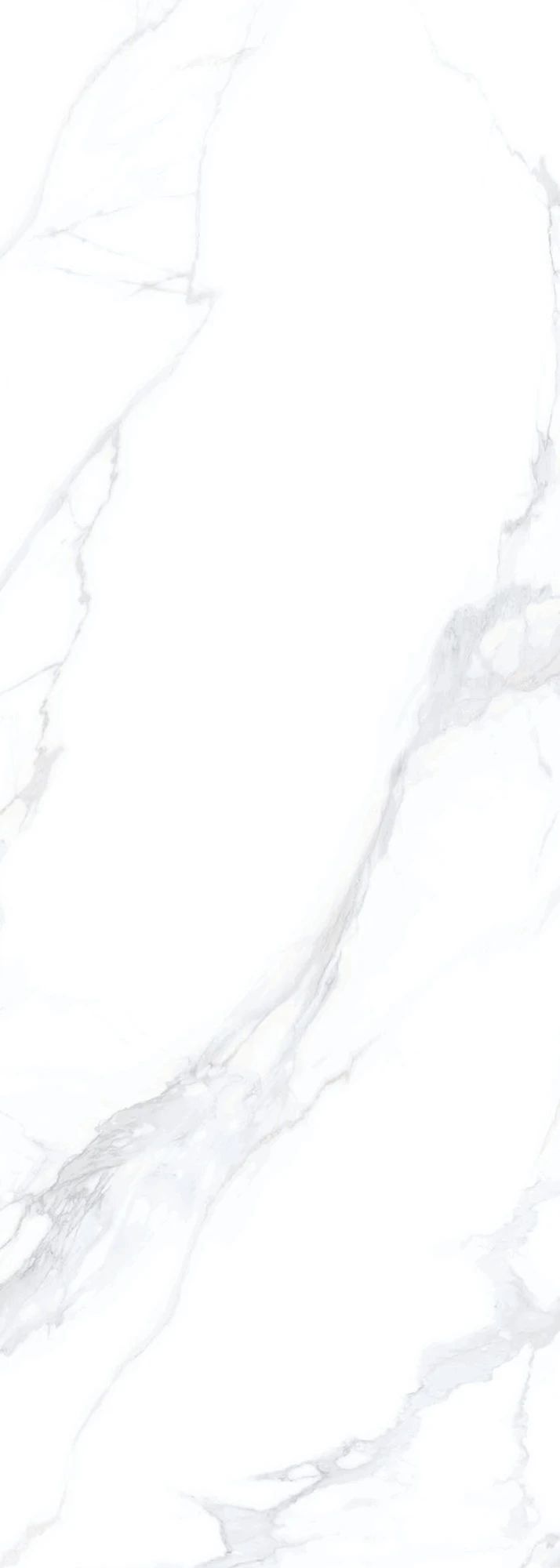 1695005974696322.jpg