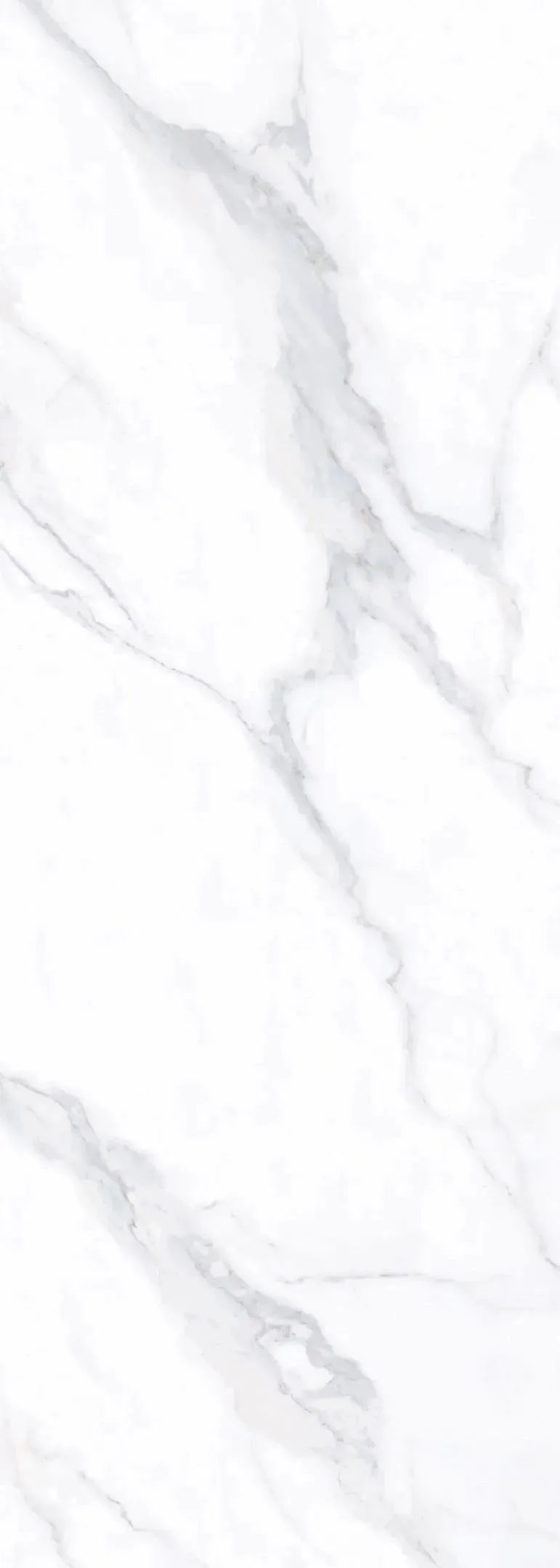 1695006165292530.jpg