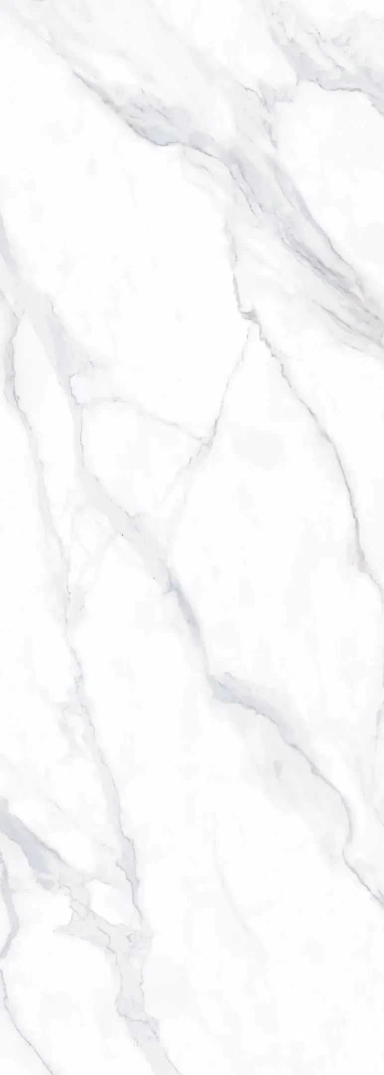 1695006165391690.jpg