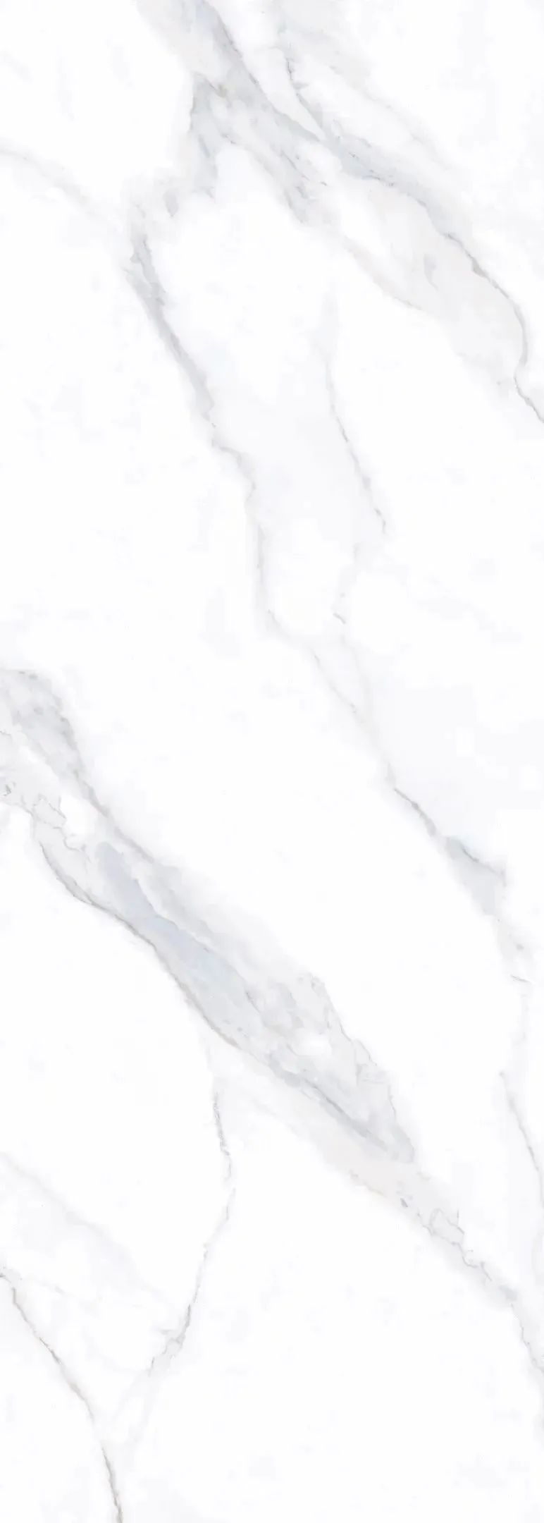 1695006165885872.jpg